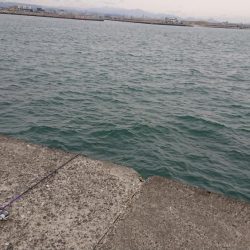 アイナメちゃんゲット