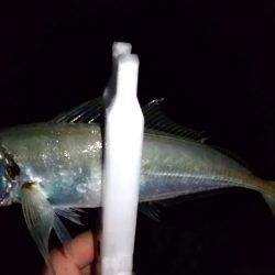 ライトゲームで3目