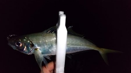 ライトゲームで3目