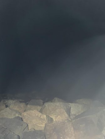 ひさびさのメバル