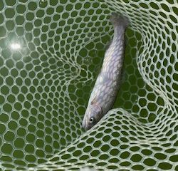 岸和田フィッシングパーク　