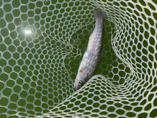 岸和田フィッシングパーク　