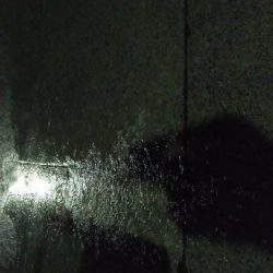 雨中メバリング