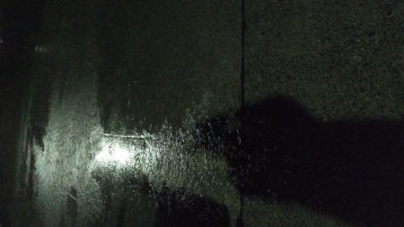 雨中メバリング