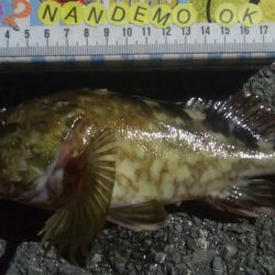 釣りデビュー 103日目