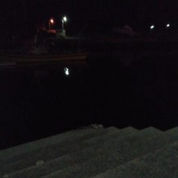 小メバルばかり