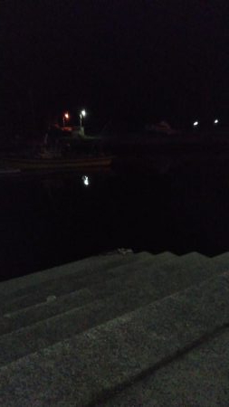 小メバルばかり