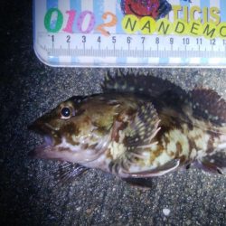 釣りデビュー 110日目