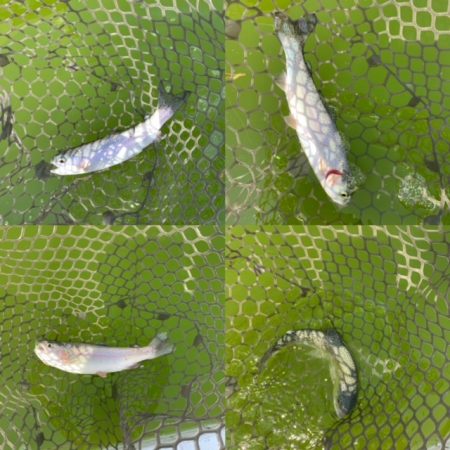 初服部緑地公園