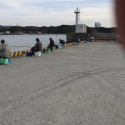 アジ48匹、ヒイラギ17匹、フグ1匹