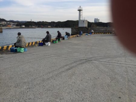 アジ48匹、ヒイラギ17匹、フグ1匹