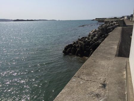 アジ良型（27㎝）を含む20匹