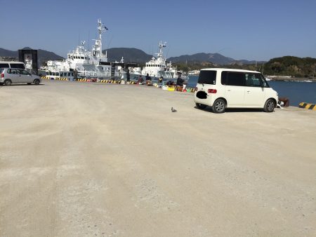 良型アジ含む20匹