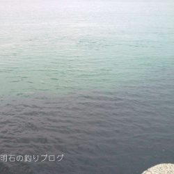 カサゴ釣り