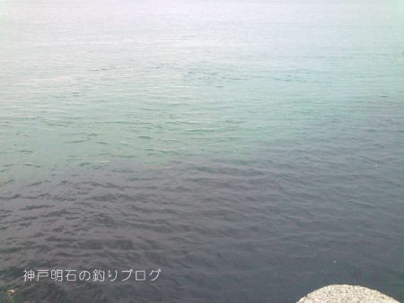 カサゴ釣り
