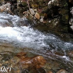 解禁直後はよく釣れる！