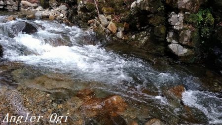 解禁直後はよく釣れる！