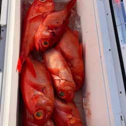 番匠高宮丸 釣果