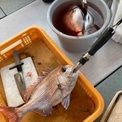 遊漁船 セトマリン 釣果