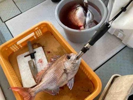 遊漁船 セトマリン 釣果