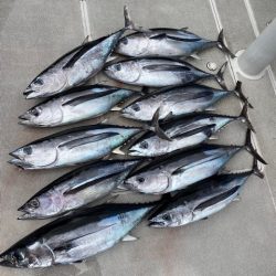 へいみつ丸 釣果