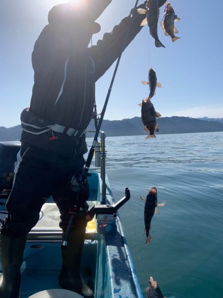 宝昌丸 釣果