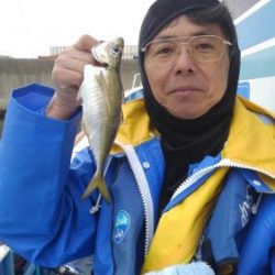 あい川丸 釣果