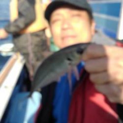 あい川丸 釣果