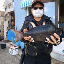 伊豆下田フィッシング 釣果