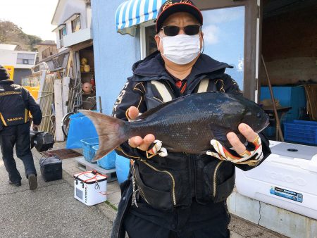 伊豆下田フィッシング 釣果