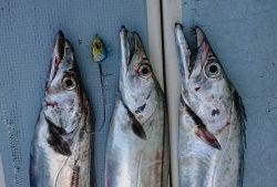 KONAYAーMARU(こなや丸) 釣果