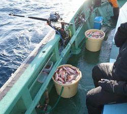 恵陽丸 釣果