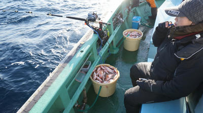 恵陽丸 釣果