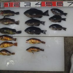 のとじま臨海公園海づりセンター 釣果