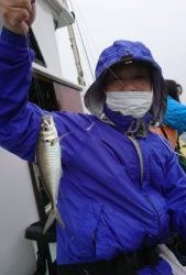 KONAYAーMARU(こなや丸) 釣果