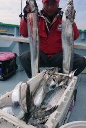 KONAYAーMARU(こなや丸) 釣果