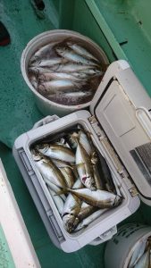 ＫＯＮＡＹＡｰＭＡＲＵ（こなや丸） 釣果