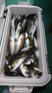 ＫＯＮＡＹＡｰＭＡＲＵ（こなや丸） 釣果