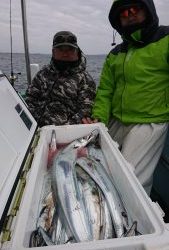 KONAYAーMARU(こなや丸) 釣果