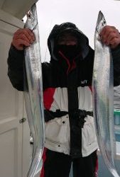 KONAYAーMARU(こなや丸) 釣果