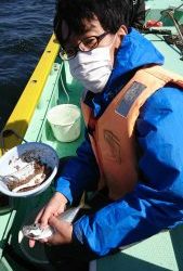 KONAYAーMARU(こなや丸) 釣果