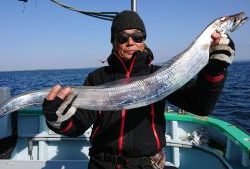 KONAYAーMARU(こなや丸) 釣果