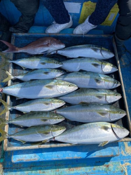 太幸丸 釣果