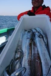 KONAYAーMARU(こなや丸) 釣果