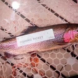 フィッシングレイクたかみや 釣果