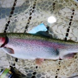 フィッシングレイクたかみや 釣果