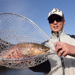 フィッシングレイクたかみや 釣果