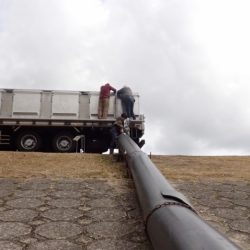 フィッシングレイクたかみや 釣果