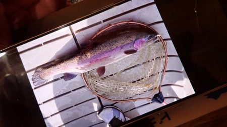 フィッシングレイクたかみや 釣果