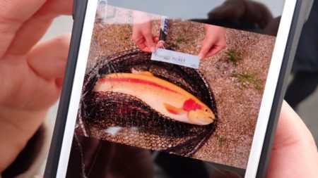 フィッシングレイクたかみや 釣果